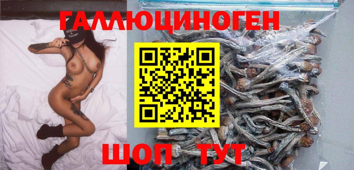Красный Сулин  купить наркоту  Вход с VPN  Галлюциногенные грибы MAGIC MUSHROOMS 